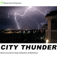 Nature Sound Emporium - City Thunder