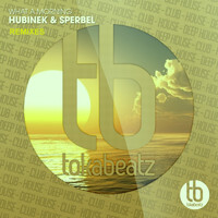 Hubinek & Sperbel - What a Morning (Remixes)