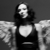 Amanda Shires - Hawk For The Dove