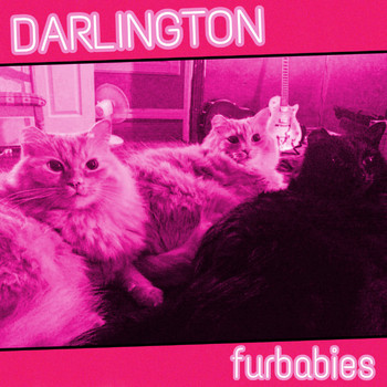 Darlington - Furbabies (Explicit)