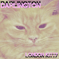 Darlington - London Kitty