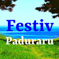 Cristian Paduraru - Festiv (Fitness Music)