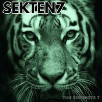 Sekten7 - THE INFINITE 7