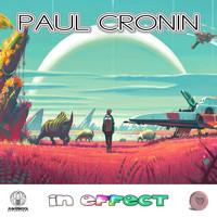 Paul Cronin - In Effect