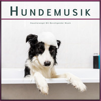 Beruhigende Musik für Hunde, Schlafende Musik für Hunde, Hundemusik - Hundemusik: Haustierangst Mit Beruhigender Musik