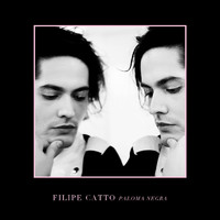Filipe Catto - Paloma Negra