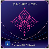 SYNCHRONICITY - Om Namah Shivaya