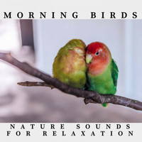 Sam Riggs - Morning Birds