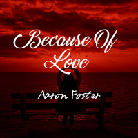 Aaron Foster - Because Of Love