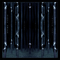 Æ0001 - Sigil Series Vol. VIII