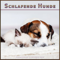 Beruhigende Musik für Hunde, Schlafende Musik für Hunde, Hundemusik - Schlafende Hunde: Hintergrundmusik Für Schlafende Hunde