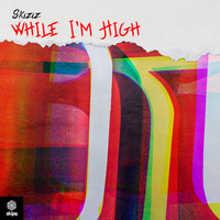 Skiziz - While I'm High