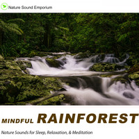 Nature Sound Emporium - Mindful Rainforest