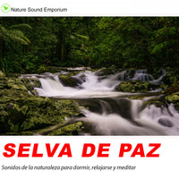 Nature Sound Emporium - Selva De Paz