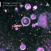 AstroPilot, Astronaut Ape - Ad Astra