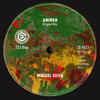 Miguel Silva - Ammea