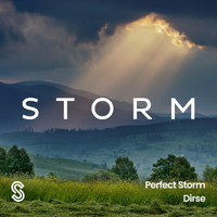 Dirse - Perfect Storm
