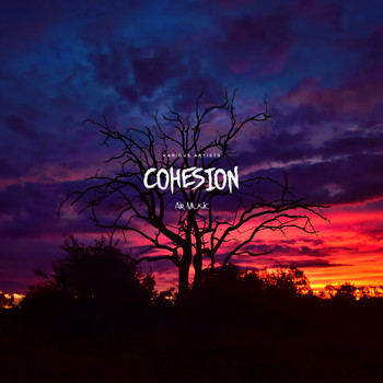 Various Artists - Cohesion