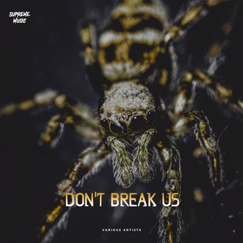 Various Artists - Don't Break Us