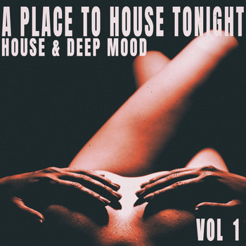 Various Artists - A Place to House Tonight, Vol. 1