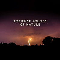 Calm Nature Oasis - Ambience Sounds of Nature: Thunderstorm, Rain and Hurricane