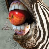 A-Z - Trial by Fire