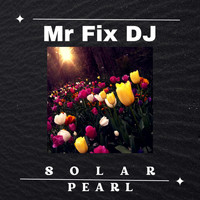 Mr Fix DJ - Solar Pearl
