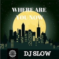 DJ Slow - Where Are You Know