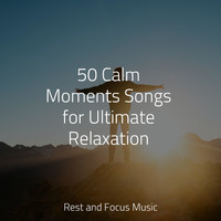 Classical New Age Piano Music, Classical Lullabies, Sounds of Nature White Noise for Mindfulness Meditation and Relaxation - 50 Calm Moments Songs for Ultimate Relaxation