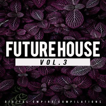 Various Artists - Future House, Vol.3 (Explicit)