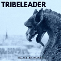 Tribeleader - Tech Step Power 7 Deluxe Version