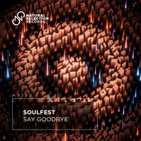 Soulfest - Say Goodbye