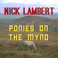 Nick Lambert - Ponies on the Mynd