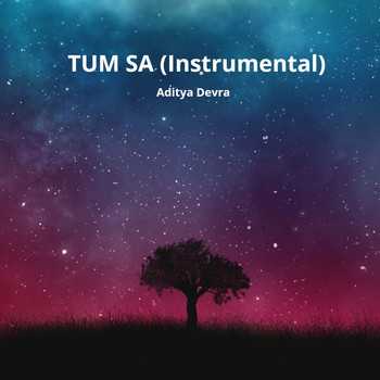 Aditya Devra / The Musical Parinde - Tum Sa (Instrumental) (Instrumental)