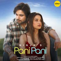 Ninja - Pani Pani