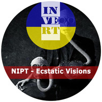 NIPT - Ecstatic Visions