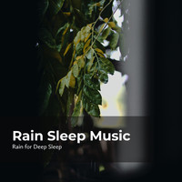 Rain for Deep Sleep, Ambient Rain, Gentle Rain Makers - Rain Sleep Music