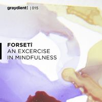 Forseti - An Exercise in Mindfulness