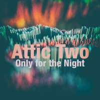 Attic Two - Only for the Night