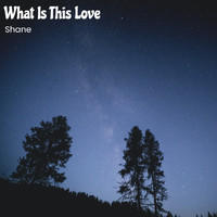 Shane - What Is This Love