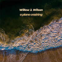 Willow J. Wilson - A Plane Crashing