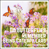 Zekel Healthcare - Do Butterflies Remember Being Caterpillars