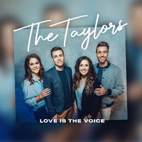 The Taylors - Love Is the Voice
