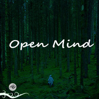 Prince DOS - Open Mind