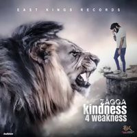 Zagga - Kindness 4 Weakness