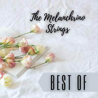 The Melachrino Strings - Best Of