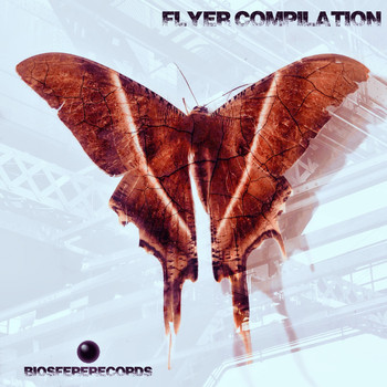 Various Artists - Flyer Compilation