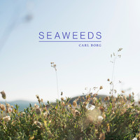 Carl Borg - Seaweeds