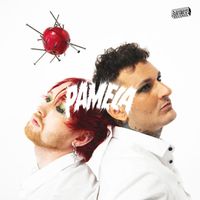 Pamela - Ei Täs Mitään Häviä