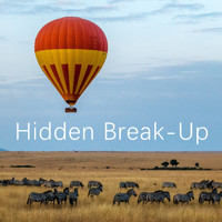Nicolas - Hidden Break-Up